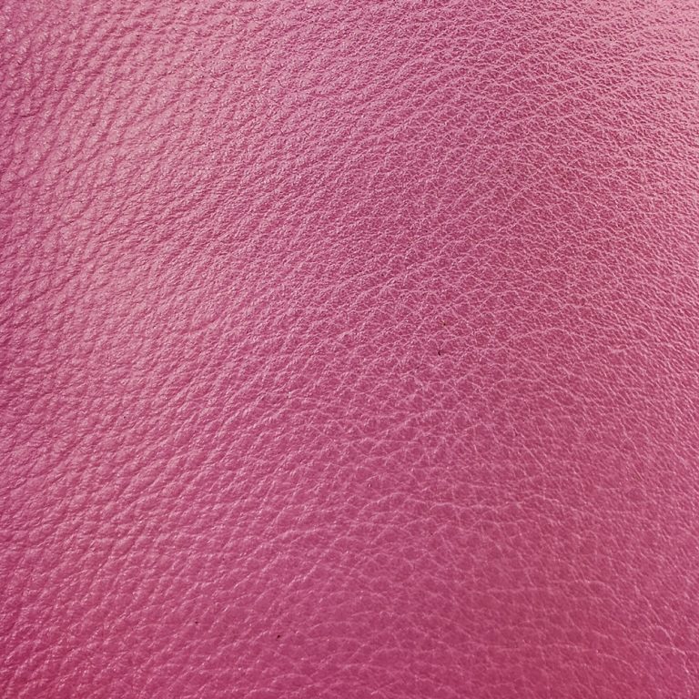 Cow Fushia